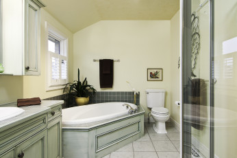 Картинка интерьер ванная+и+туалетная+комнаты ванна