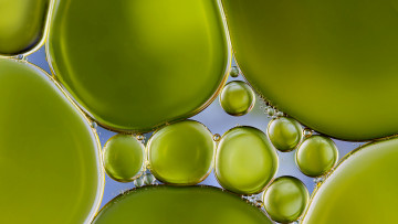 Картинка разное капли +брызги +всплески зеленые пузыри круги овалы