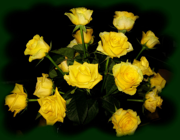 Обои картинки фото цветы, розы, желтые, букет