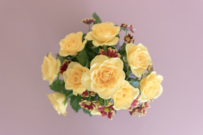 Обои картинки фото цветы, букеты,  композиции, желтые, розы