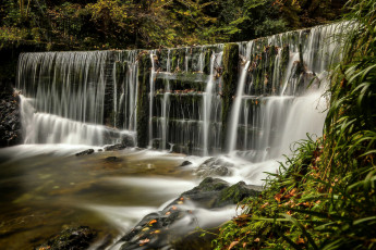 Картинка природа водопады лес england каскад водопад англия озёрный край лейк-дистрикт lake district stock ghyll falls ambleside