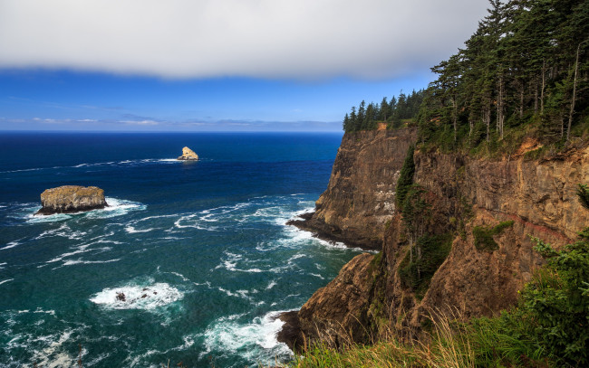 Обои картинки фото природа, побережье, oregon, coast, лес, океан, скалы, пляж