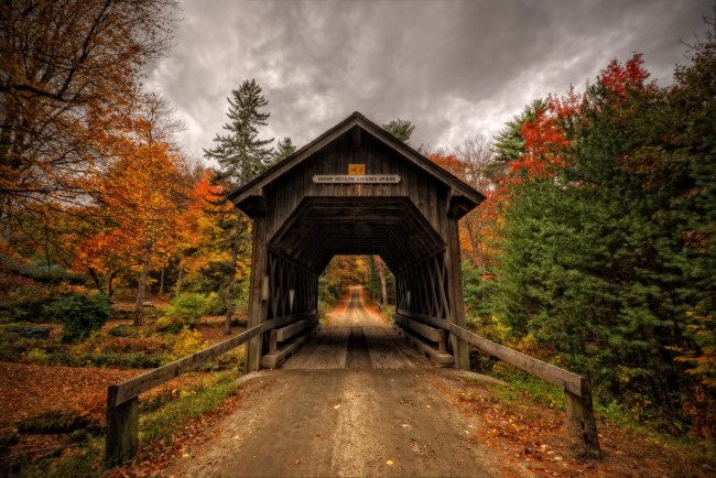 Обои картинки фото природа, дороги, тракт, лес, осень, мост