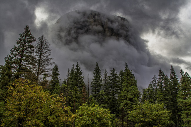 Обои картинки фото природа, горы, туман, лес