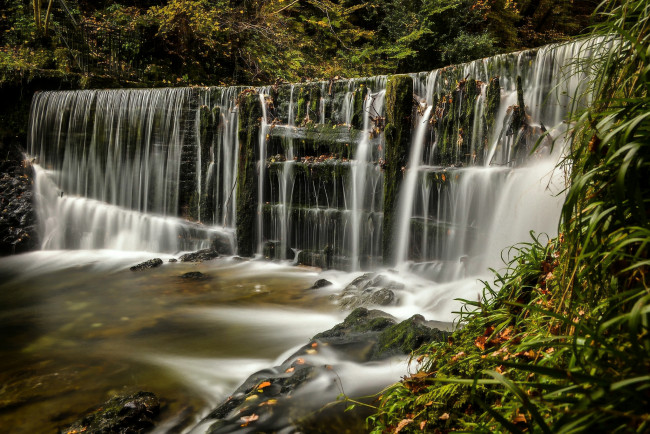 Обои картинки фото природа, водопады, лес, england, каскад, водопад, англия, озёрный, край, лейк-дистрикт, lake, district, stock, ghyll, falls, ambleside