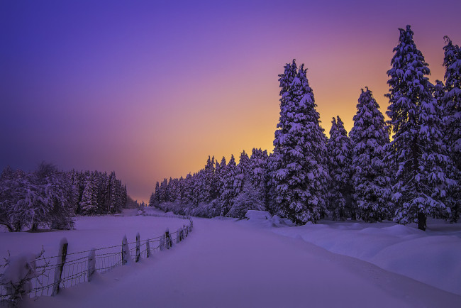 Обои картинки фото природа, зима, снег, лес, поле, вечер