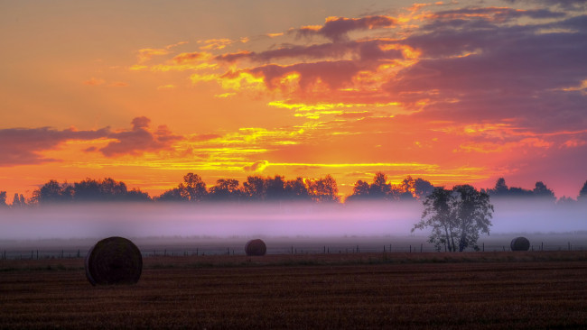 Обои картинки фото природа, восходы, закаты, облака, закат, силуэт, туман, забор, поле, сено, ферма, деревья