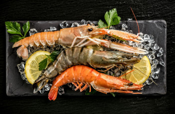 Картинка еда рыба +морепродукты +суши +роллы креветки петрушка лимон