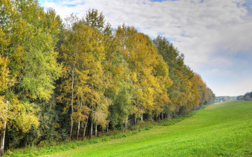 Картинка природа пейзажи осень поле холм лес деревья