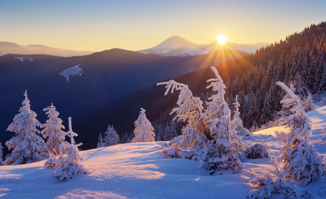 Обои картинки фото природа, горы, зима, снег, утро, восход, лес, солнце, деревья