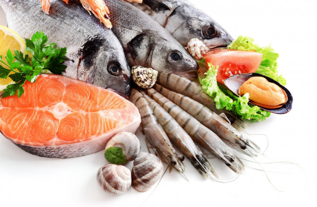 Обои картинки фото еда, рыба,  морепродукты,  суши,  роллы, улитки, зелень, креветки, мидии