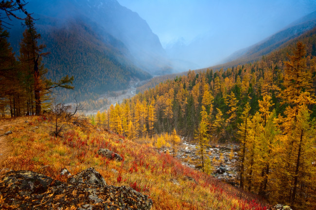 Обои картинки фото горный алтай, природа, горы, речка, горный, алтай, осень, деревья