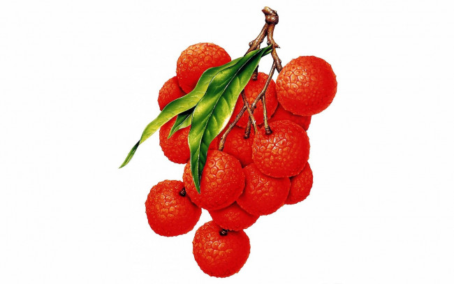 Обои картинки фото рисованное, еда, ягоды, ветка, лист