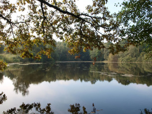 Картинка природа реки озера Чехия пруд