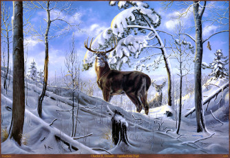 обоя charles, denault, appalachian, high, рисованные, h, зима, олень, арт, деревья, снег, лес
