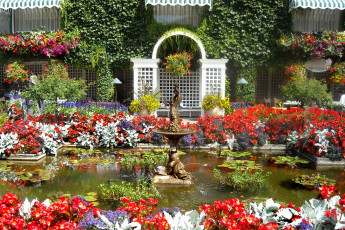 Картинка природа парк фонтан водоем беседка цветы