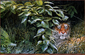 Картинка john seerey lester the rains рисованные арт дождь тигр seerey-lester