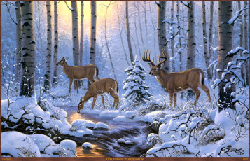 обоя derk, hansen, winter, sunrise, рисованные, арт, деревья, ручей, снег, лес, олени, зима