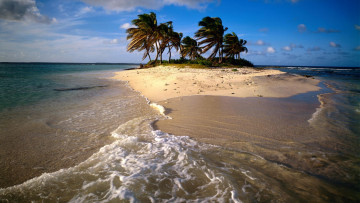 Картинка природа тропики пальмы остров