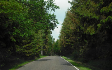 обоя природа, дороги, лес, шоссе