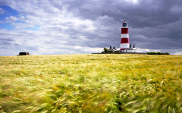 Картинка природа маяки пшеница