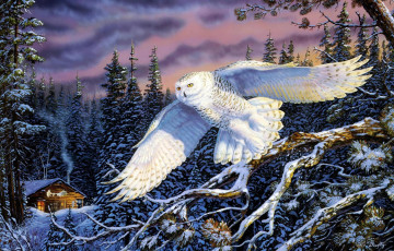 Картинка terry doughty whisper on the wind рисованные лес полёт зима арт деревья избушка сова