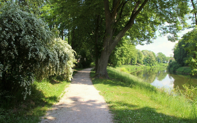 Обои картинки фото природа, парк, цветущий, куст, деревья, дорожка, река