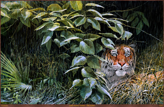 Обои картинки фото john, seerey, lester, the, rains, рисованные, арт, дождь, тигр, seerey-lester