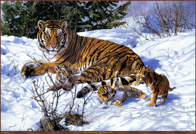 Обои картинки фото john, banovich, my, three, sons, рисованные, тигрица, тигры, арт, тигрята, зима, снег