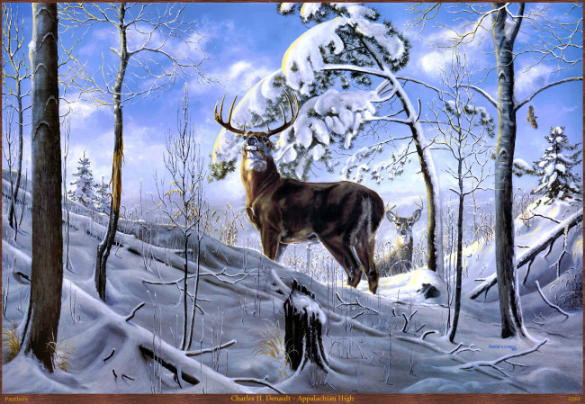 Обои картинки фото charles, denault, appalachian, high, рисованные, h, зима, олень, арт, деревья, снег, лес