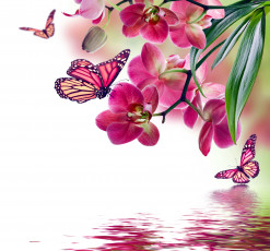 обоя разное, компьютерный дизайн, бабочки, цветы, орхидея, butterflies, beautiful, flowers, reflection, water, pink, orchid