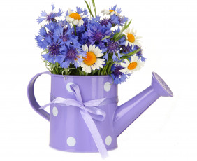 Картинка цветы луговые+ полевые +цветы лейка бантик синие васильки ромашки букет