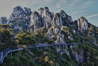 Картинка природа горы мост лес скалы