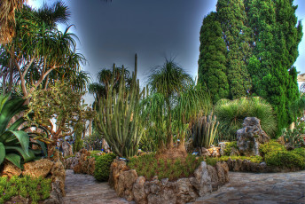 Картинка fontvieille+monaco+экзотический+сад природа парк пальмы сад экзотический monaco fontvieille