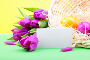 Картинка цветы тюльпаны фон корзина яйца открытка
