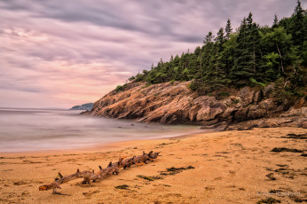 Картинка природа побережье тучи лес скалы пляж