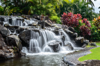 Картинка природа водопады водопад камни цветы деревья