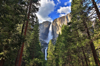 Картинка yosemite+falls природа водопады водопад лес горы скалы
