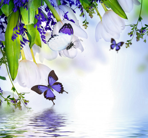 Обои картинки фото разное, компьютерный дизайн, spring, blossom, tulips, purple, flowers, butterflies, reflection, water, весна, цветение, бабочки, тюльпаны, вода, отражение