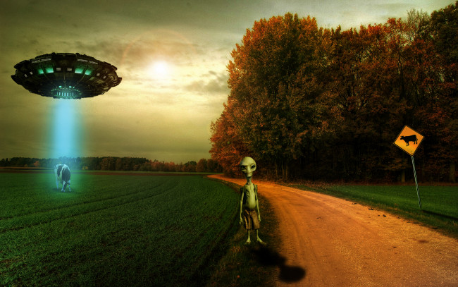 Обои картинки фото инопланетянин, юмор и приколы, корова, paul, пришелец, alien, летающая, тарелка