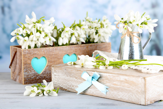 Обои картинки фото цветы, подснежники,  белоцветник, подарок, весна, букет, delicate, flowers, spring, white, snowdrops