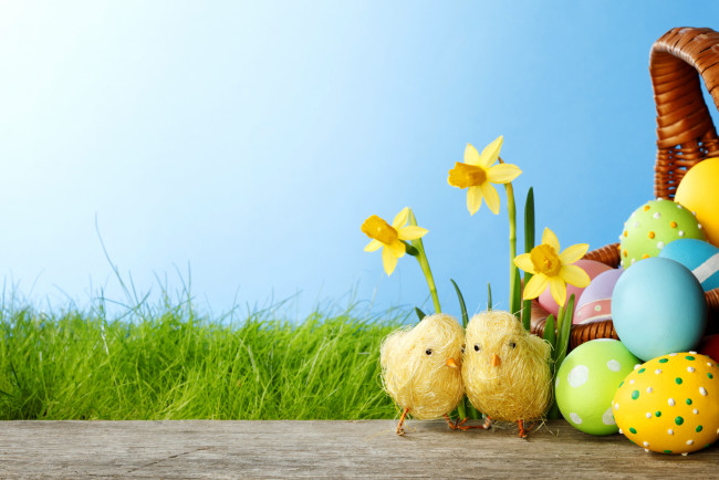 Обои картинки фото праздничные, пасха, весна, цветы, нарциссы, springer, grass, daffodils, colorful, easter, spring, flowers, eggs, яйца, крашеные, трава, цыплята