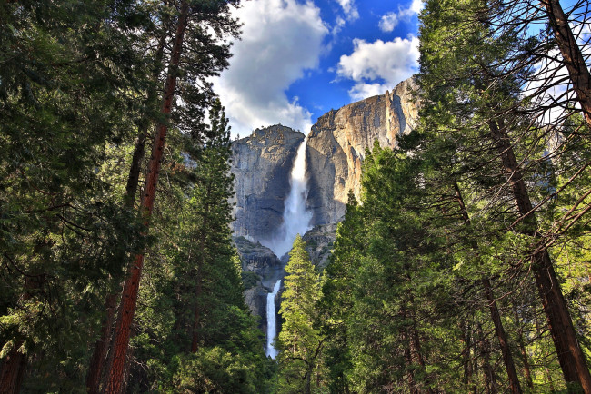 Обои картинки фото yosemite falls, природа, водопады, водопад, лес, горы, скалы