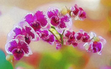 Картинка разное компьютерный+дизайн цветы лепестки орхидея краски линии штрих
