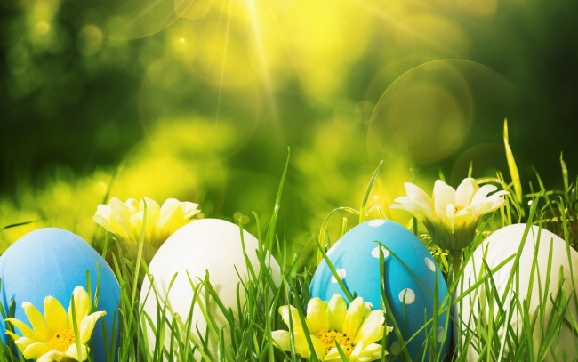 Обои картинки фото праздничные, пасха, decoration, eggs, happy, easter, весна, цветы, яйца, flowers, spring