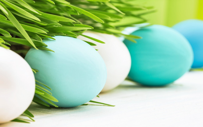 Обои картинки фото праздничные, пасха, happy, цветы, easter, весна, трава, eggs, яйца, flowers, spring, decoration