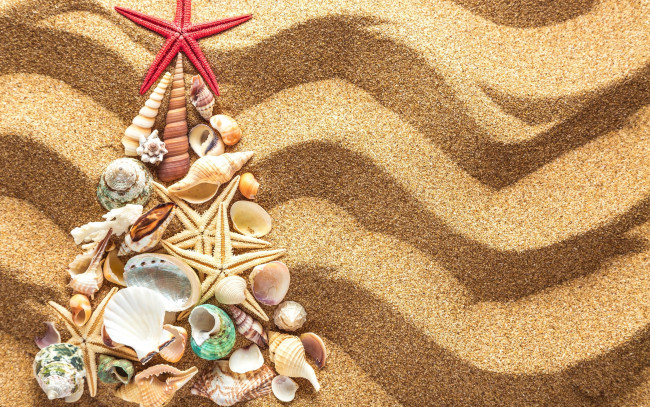 Обои картинки фото разное, ракушки,  кораллы,  декоративные и spa-камни, песок, tree, christmas, beach, seashells, sand, новый, год, елка, украшения