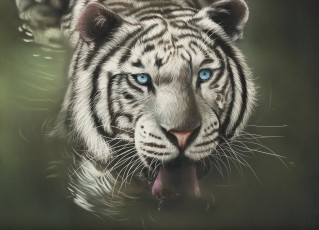 обоя рисованное, животные,  тигры, by, shonechacko, вода, белый, тигр