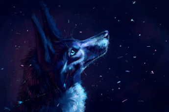 Картинка рисованное животные +волки ночь снег волк