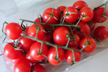 Картинка еда помидоры плоды томаты
